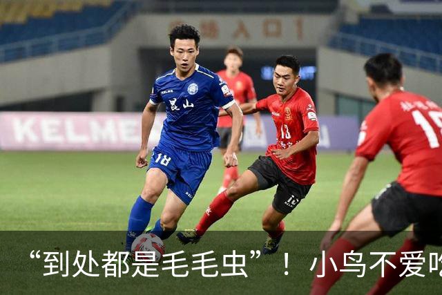“到处都是毛毛虫”！小鸟不爱吃，北京释放数亿头小蜂迎战！