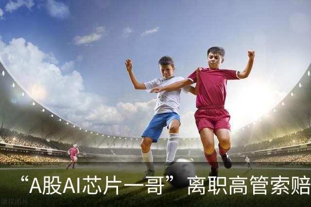“A股AI芯片一哥”离职高管索赔278.32亿元，寒武纪回应：将积极应诉，全力应对离职高管对公司的不当诉求