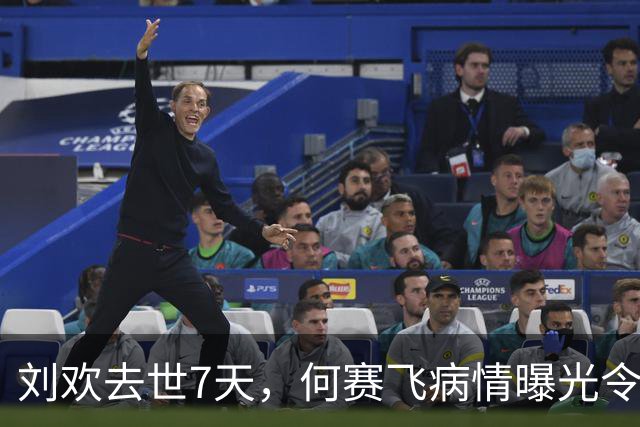 刘欢去世7天，何赛飞病情曝光令人揪心，与恩师之子离婚真相大白