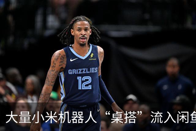 大量小米机器人“桌搭”流入闲鱼！全新199元，二手才35块