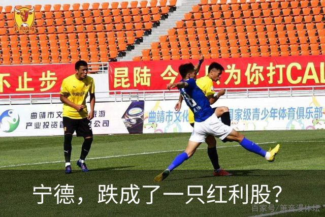 宁德，跌成了一只红利股？