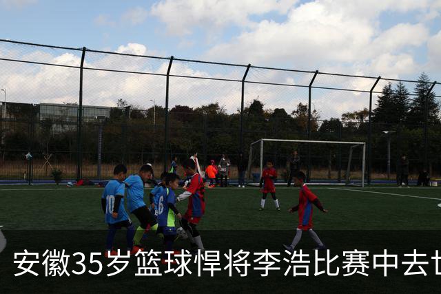 安徽35岁篮球悍将李浩比赛中去世！体型微胖，有8个姐，家人发声