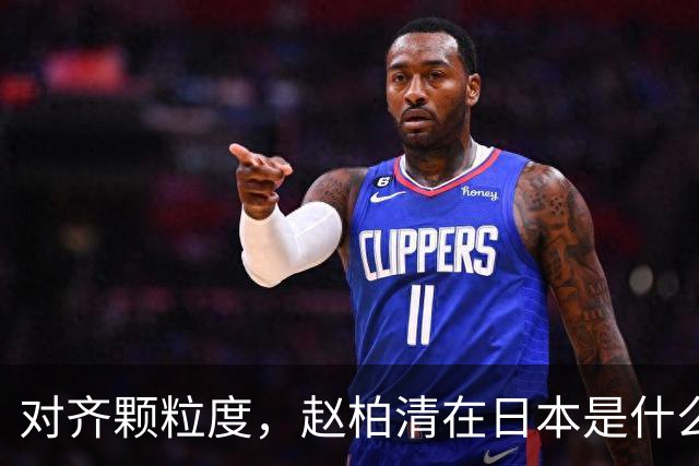 对齐颗粒度，赵柏清在日本是什么水平？