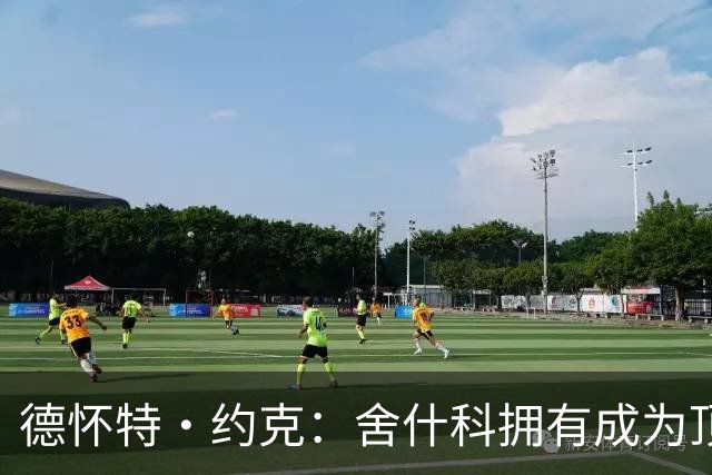 德怀特·约克：舍什科拥有成为顶级中锋所有特质，教练应给他机会