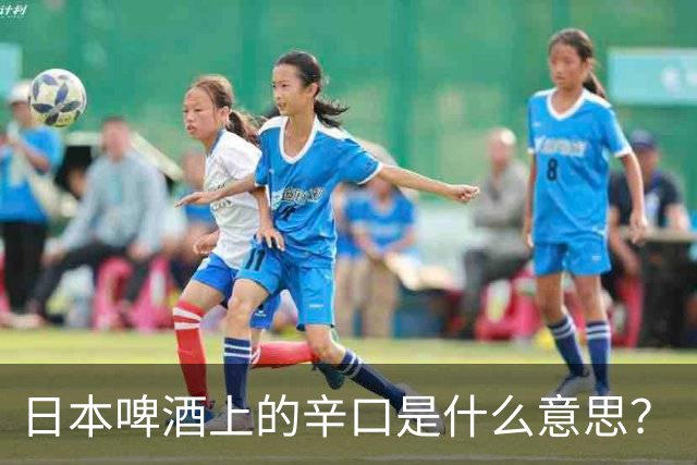 日本啤酒上的辛口是什么意思？