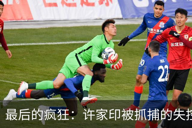 最后的疯狂：许家印被抓捕的失控三秒钟