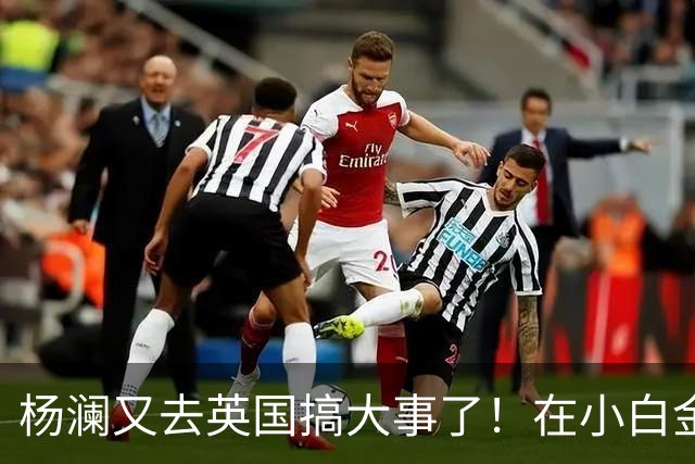 杨澜又去英国搞大事了！在小白金汉宫办中国非遗展，吴征也去了