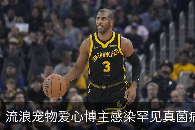 流浪宠物爱心博主感染罕见真菌病逝，年仅27岁，丈夫：妻子在ICU抢救了22天，她随时带着猫狗粮，走到哪里看到流浪猫狗都会喂
