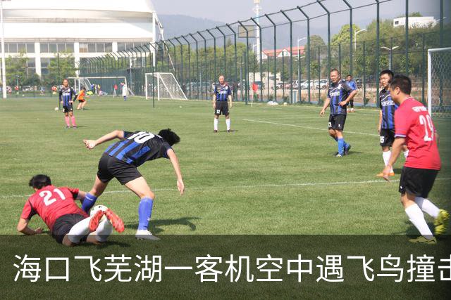 海口飞芜湖一客机空中遇飞鸟撞击，起飞20分钟后返航检查，桂林航空客服回应
