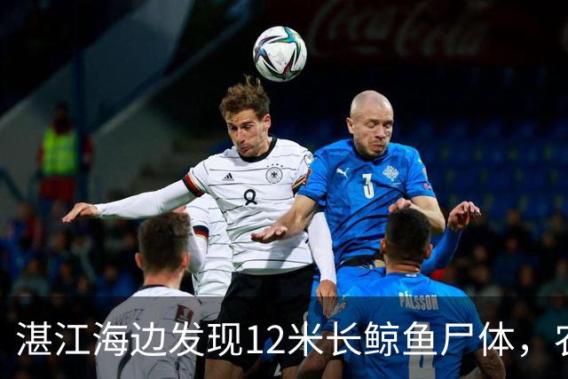湛江海边发现12米长鲸鱼尸体，农业农村局：已漂走且有爆炸风险，请船只和人员勿靠近