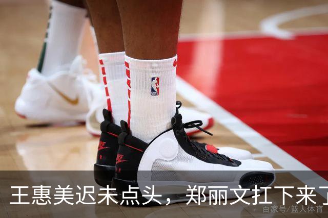 王惠美迟未点头，郑丽文扛下来了！魏平政竞选主委人选拍板