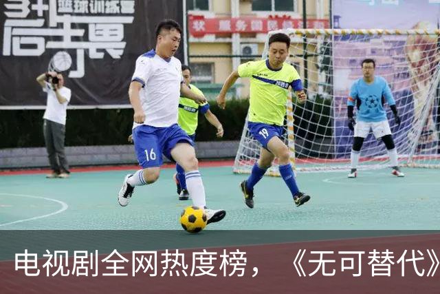 电视剧全网热度榜，《无可替代》跌至第二，第一热度高达79.95