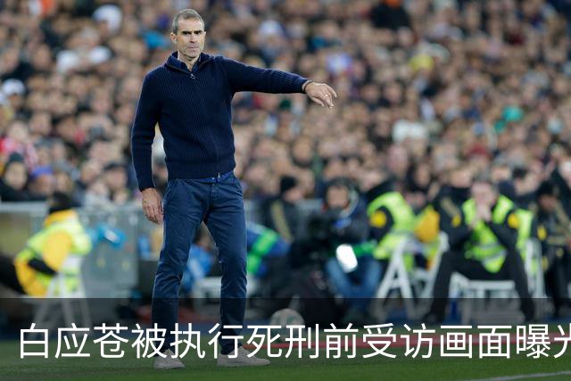 白应苍被执行死刑前受访画面曝光：“你不做诈骗就代表你无所事事”，曾代表全家向中国人民道歉
