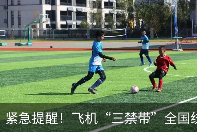 紧急提醒！飞机“三禁带”全国统一执行，行李提前自查，避免被扣
