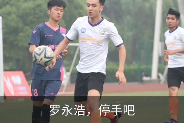 罗永浩，停手吧