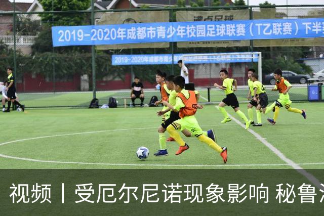 视频丨受厄尔尼诺现象影响 秘鲁湿地生态平衡遭考验