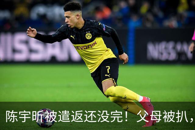 陈宇昕被遣返还没完！父母被扒，扬州公司洗白?背后的人憋不住了