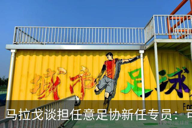马拉戈谈担任意足协新任专员：可能12月7日前宣布足协主席选举