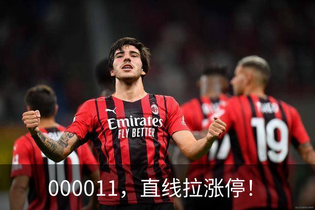 000011，直线拉涨停！