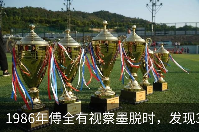 1986年傅全有视察墨脱时，发现300名解放军竟无一人身穿军装，为何？