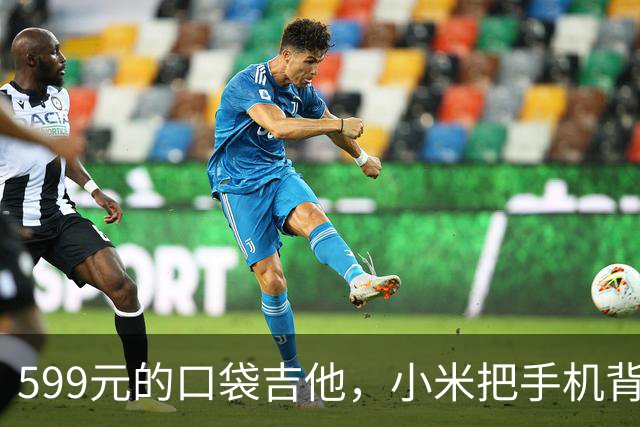 599元的口袋吉他，小米把手机背屏变成了乐器