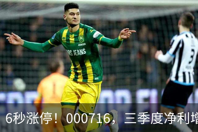 6秒涨停！000716，三季度净利增长近40倍
