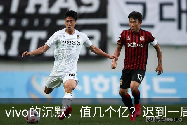 vivo的沉默，值几个亿？迟到一周的Pro，输掉了整个首销战
